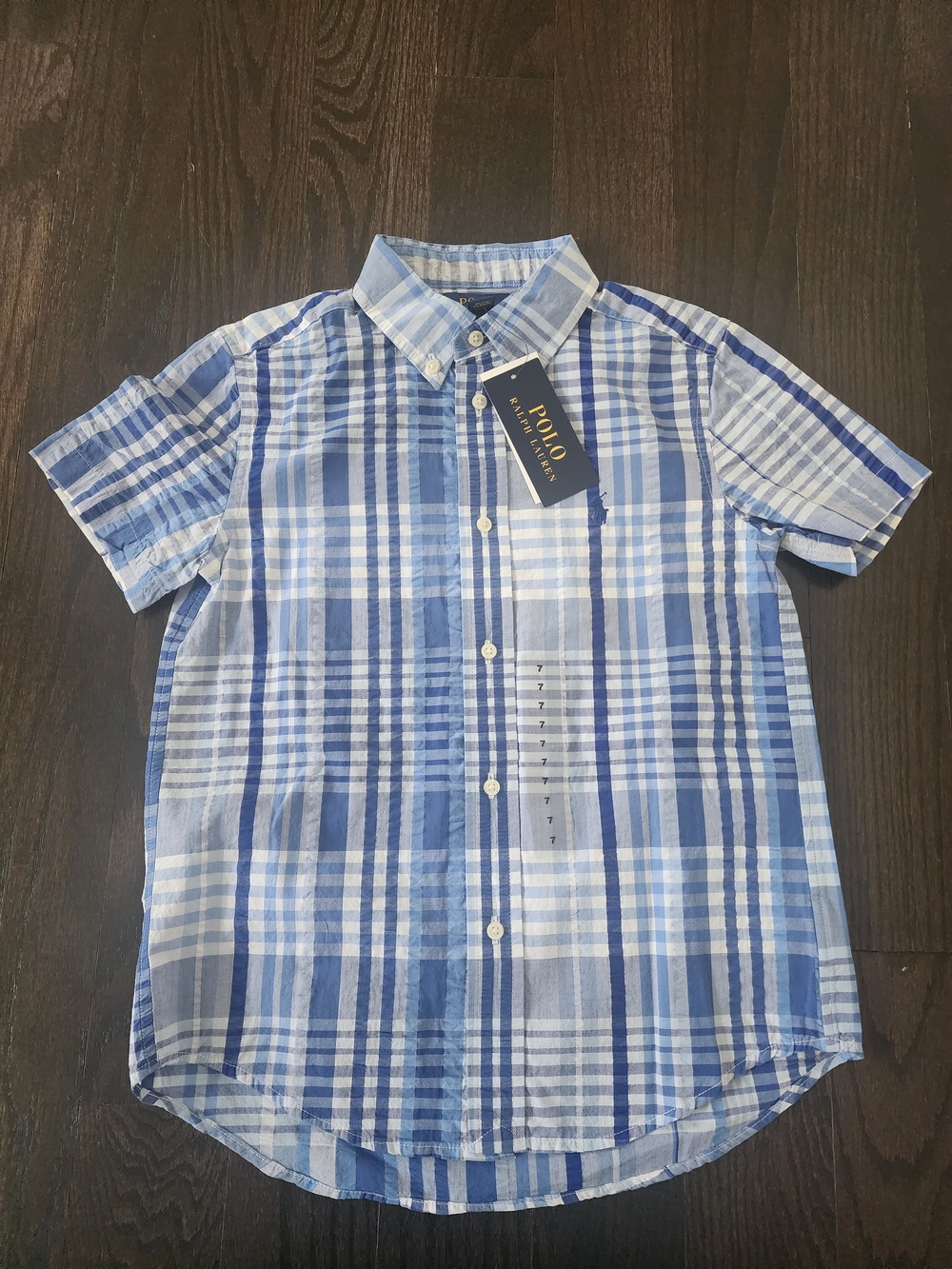Polo by Ralph Lauren Blue & Light Blue Plaid Short-Sleeve Button-Down Shirt